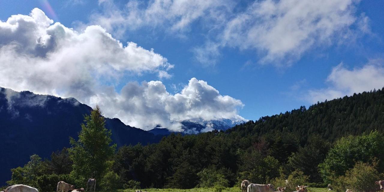 Hotel Bordes Pirineu, Costuix Areu Esterno foto